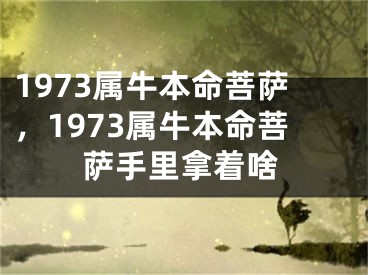 1973属牛本命菩萨，1973属牛本命菩萨手里拿着啥