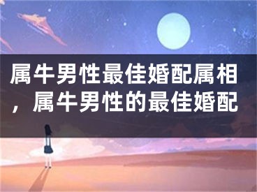 属牛男性最佳婚配属相，属牛男性的最佳婚配