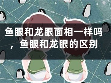 鱼眼和龙眼面相一样吗，鱼眼和龙眼的区别