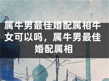 属牛男最佳婚配属相牛女可以吗，属牛男最佳婚配属相