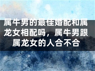 属牛男的最佳婚配和属龙女相配吗，属牛男跟属龙女的人合不合