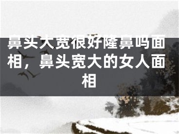 鼻头大宽很好隆鼻吗面相，鼻头宽大的女人面相