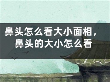 鼻头怎么看大小面相,鼻头的大小怎么看