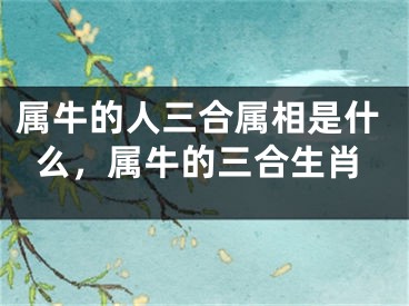 属牛的人三合属相是什么，属牛的三合生肖