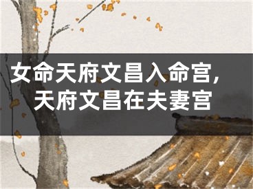 女命天府文昌入命宫,天府文昌在夫妻宫