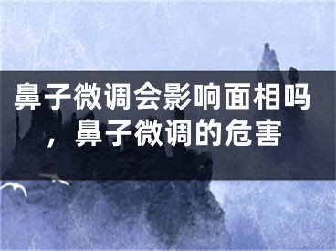 鼻子微调会影响面相吗，鼻子微调的危害
