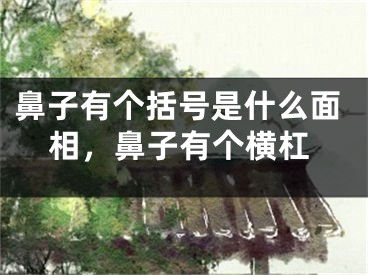 鼻子有个括号是什么面相,鼻子有个横杠