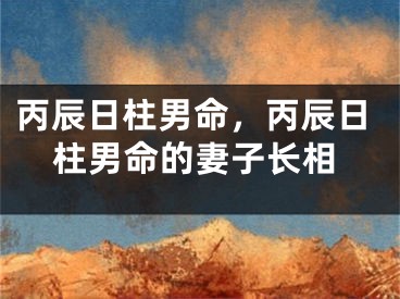 丙辰日柱男命,丙辰日柱男命的妻子长相
