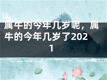 属牛的今年几岁呢，属牛的今年几岁了2021
