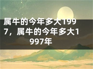 属牛的今年多大1997，属牛的今年多大1997年