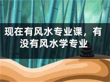 现在有风水专业课，有没有风水学专业