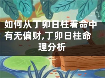如何从丁卯日柱看命中有无偏财,丁卯日柱命理分析