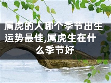 属虎的人哪个季节出生运势最佳,属虎生在什么季节好