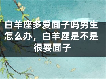 白羊座多爱面子吗男生怎么办，白羊座是不是很要面子