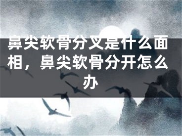 鼻尖软骨分叉是什么面相,鼻尖软骨分开怎么办