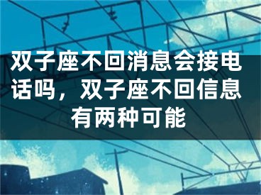 双子座不回消息会接电话吗，双子座不回信息有两种可能