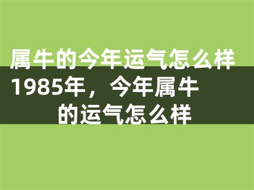 属牛的今年运气怎么样1985年,今年属牛的运气怎么样