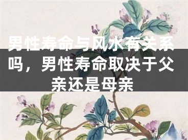 男性寿命与风水有关系吗,男性寿命取决于父亲还是母亲