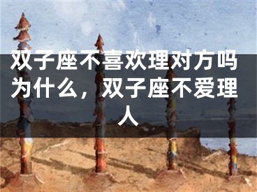 双子座不喜欢理对方吗为什么,双子座不爱理人