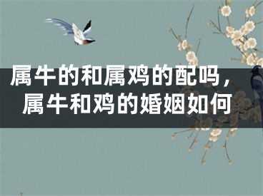 属牛的和属鸡的配吗，属牛和鸡的婚姻如何