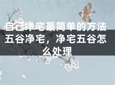 自己净宅最简单的方法五谷净宅，净宅五谷怎么处理