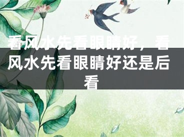看风水先看眼睛好，看风水先看眼睛好还是后看