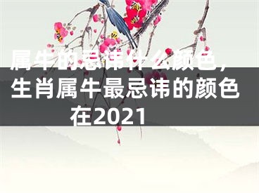 属牛的忌讳什么颜色，生肖属牛最忌讳的颜色在2021