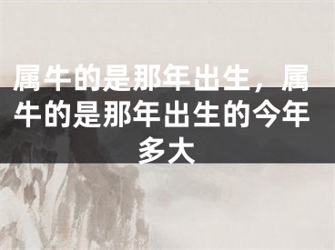 属牛的是那年出生，属牛的是那年出生的今年多大
