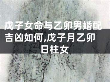 戊子女命与乙卯男婚配吉凶如何,戊子月乙卯日柱女