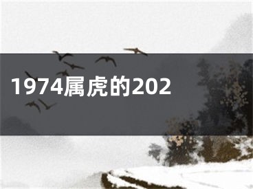 1974属虎的202
