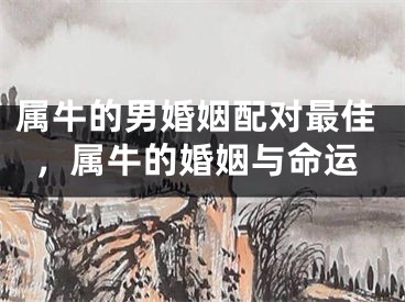 属牛的男婚姻配对最佳，属牛的婚姻与命运