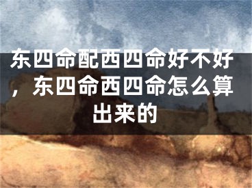 东四命配西四命好不好，东四命西四命怎么算出来的