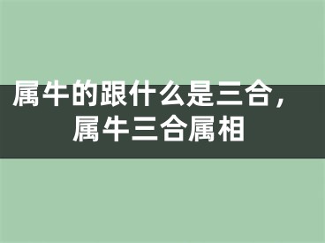 属牛的跟什么是三合，属牛三合属相