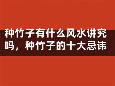 种竹子有什么风水讲究吗,种竹子的十大忌讳