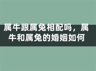 属牛跟属兔相配吗，属牛和属兔的婚姻如何