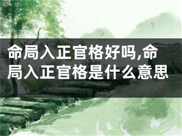 命局入正官格好吗,命局入正官格是什么意思