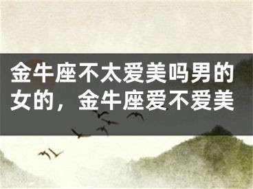 金牛座不太爱美吗男的女的，金牛座爱不爱美