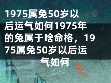 1975属兔50岁以后运气如何1975年的兔属于啥命格，1975属兔50岁以后运气如何