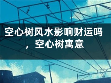 空心树风水影响财运吗，空心树寓意