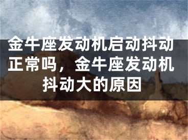 金牛座发动机启动抖动正常吗，金牛座发动机抖动大的原因