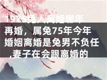 1975兔人离婚哪年再婚，属兔75年今年婚姻离婚是兔男不负任,妻子在会跟离婚的