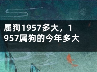 属狗1957多大，1957属狗的今年多大