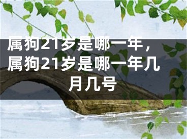 属狗21岁是哪一年，属狗21岁是哪一年几月几号