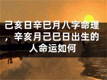 己亥日辛巳月八字命理，辛亥月己巳日出生的人命运如何