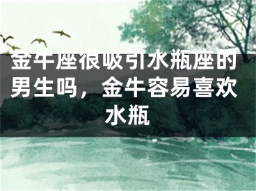 金牛座很吸引水瓶座的男生吗，金牛容易喜欢水瓶