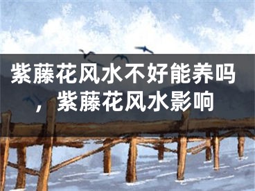 紫藤花风水不好能养吗，紫藤花风水影响