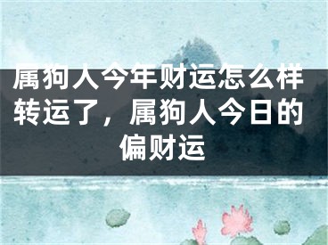 属狗人今年财运怎么样转运了，属狗人今日的偏财运