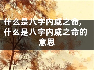 什么是八字内戚之命,什么是八字内戚之命的意思