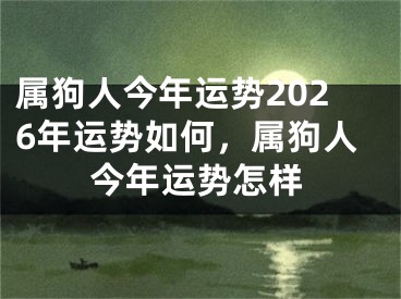 属狗人今年运势2026年运势如何，属狗人今年运势怎样