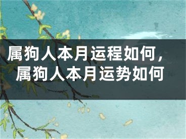 属狗人本月运程如何,属狗人本月运势如何
